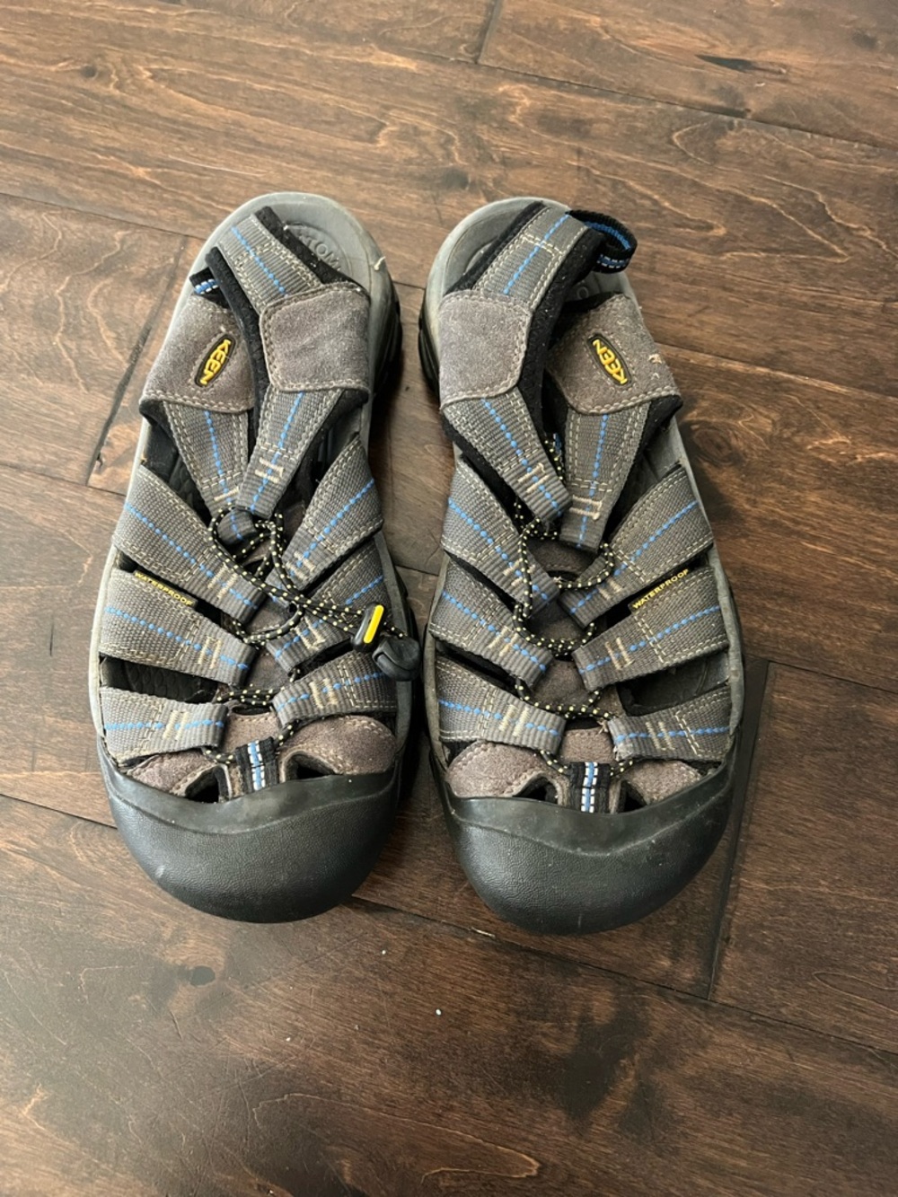 Keen Men's Gray Sandals with Blue Accents